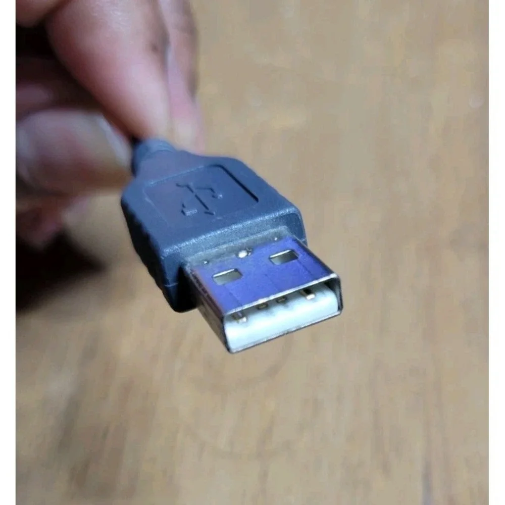 Logitech M100 Mouse - Corded USB Mouse